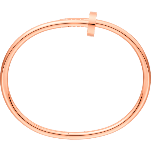 Bracelet Juste un Clou CR